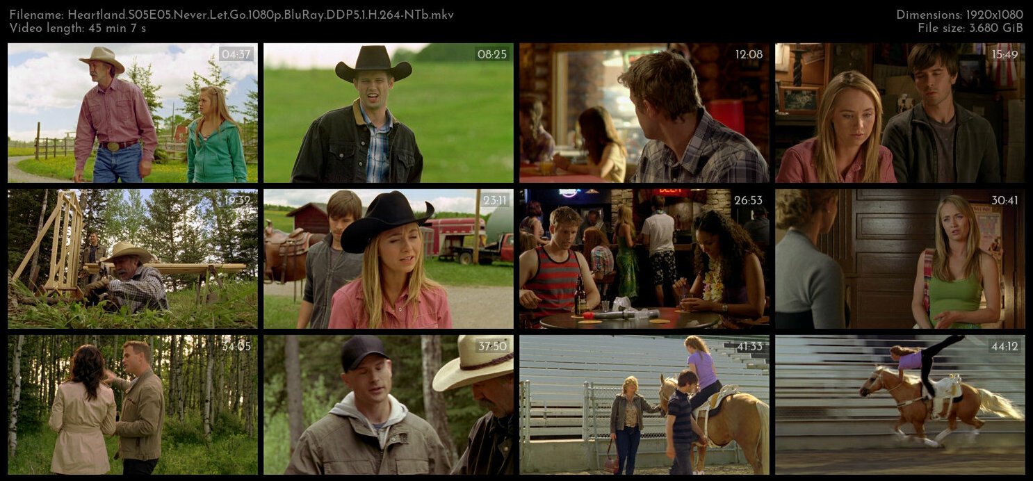 Heartland S05E05 Never Let Go 1080p BluRay DDP5 1 H 264 NTb TGx