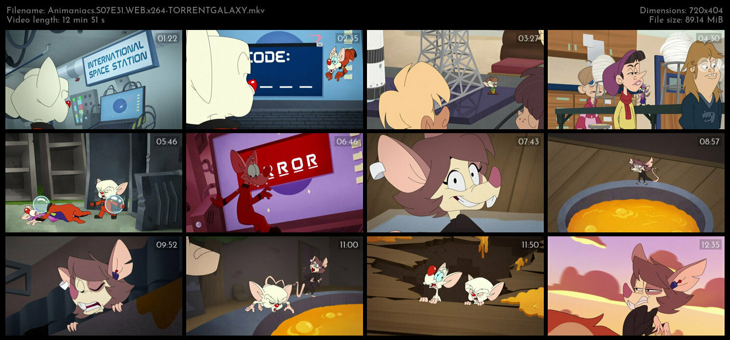 Animaniacs S07E31 WEB x264 TORRENTGALAXY