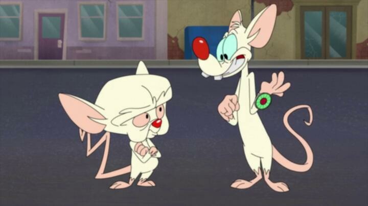 Animaniacs S07E08 WEB x264 TORRENTGALAXY