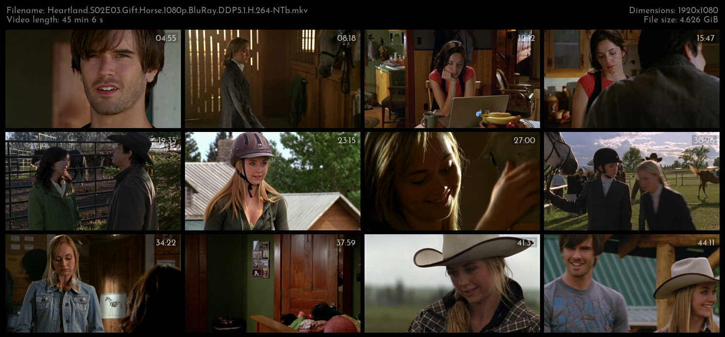 Heartland S02E03 Gift Horse 1080p BluRay DDP5 1 H 264 NTb TGx