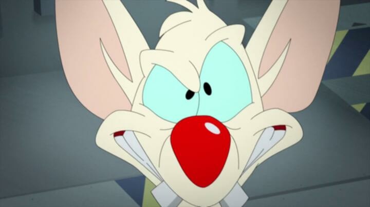 Animaniacs S07E31 WEB x264 TORRENTGALAXY