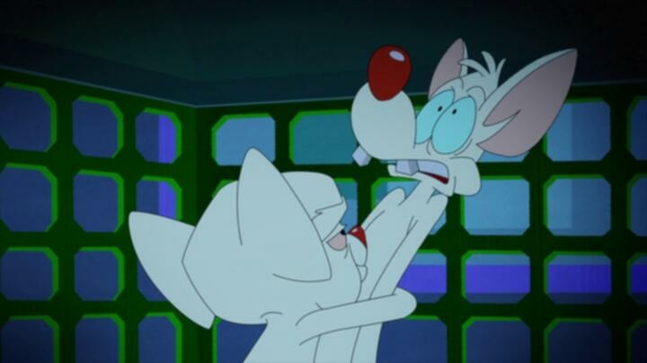 Animaniacs S07E27 WEB x264 TORRENTGALAXY