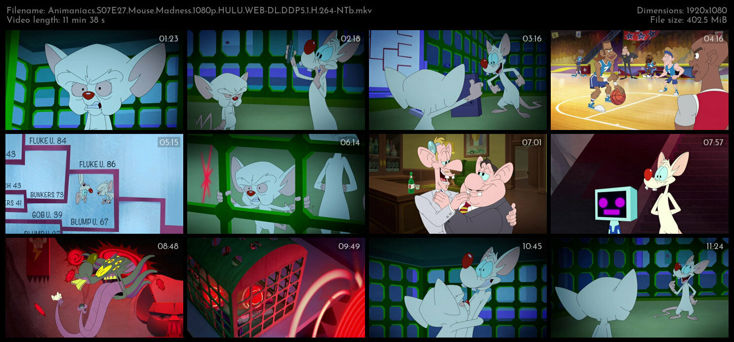 Animaniacs S07E27 Mouse Madness 1080p HULU WEB DL DDP5 1 H 264 NTb TGx