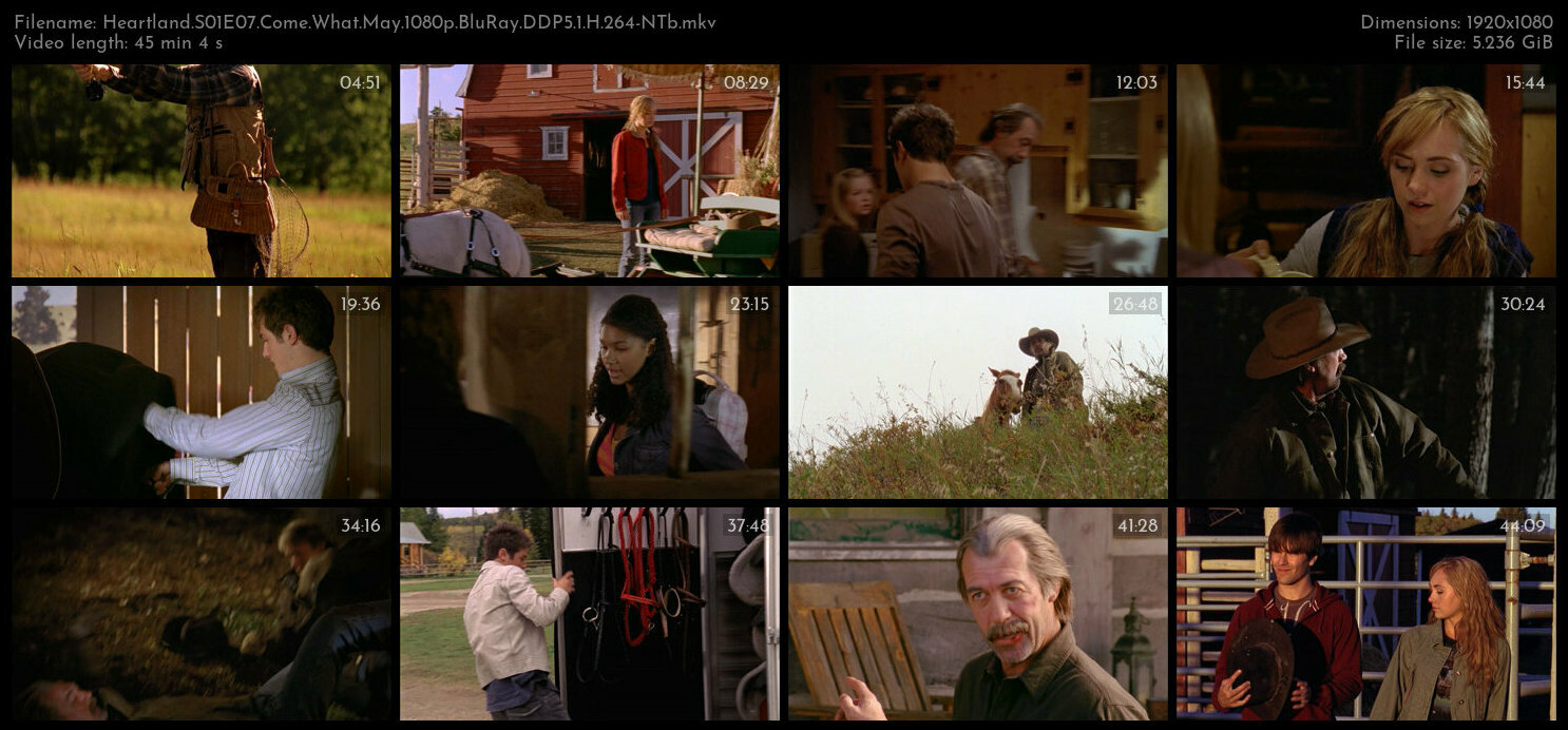 Heartland S01E07 Come What May 1080p BluRay DDP5 1 H 264 NTb TGx