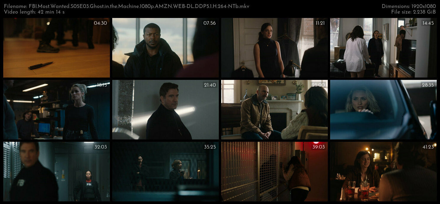 FBI Most Wanted S05E03 Ghost in the Machine 1080p AMZN WEB DL DDP5 1 H 264 NTb TGx