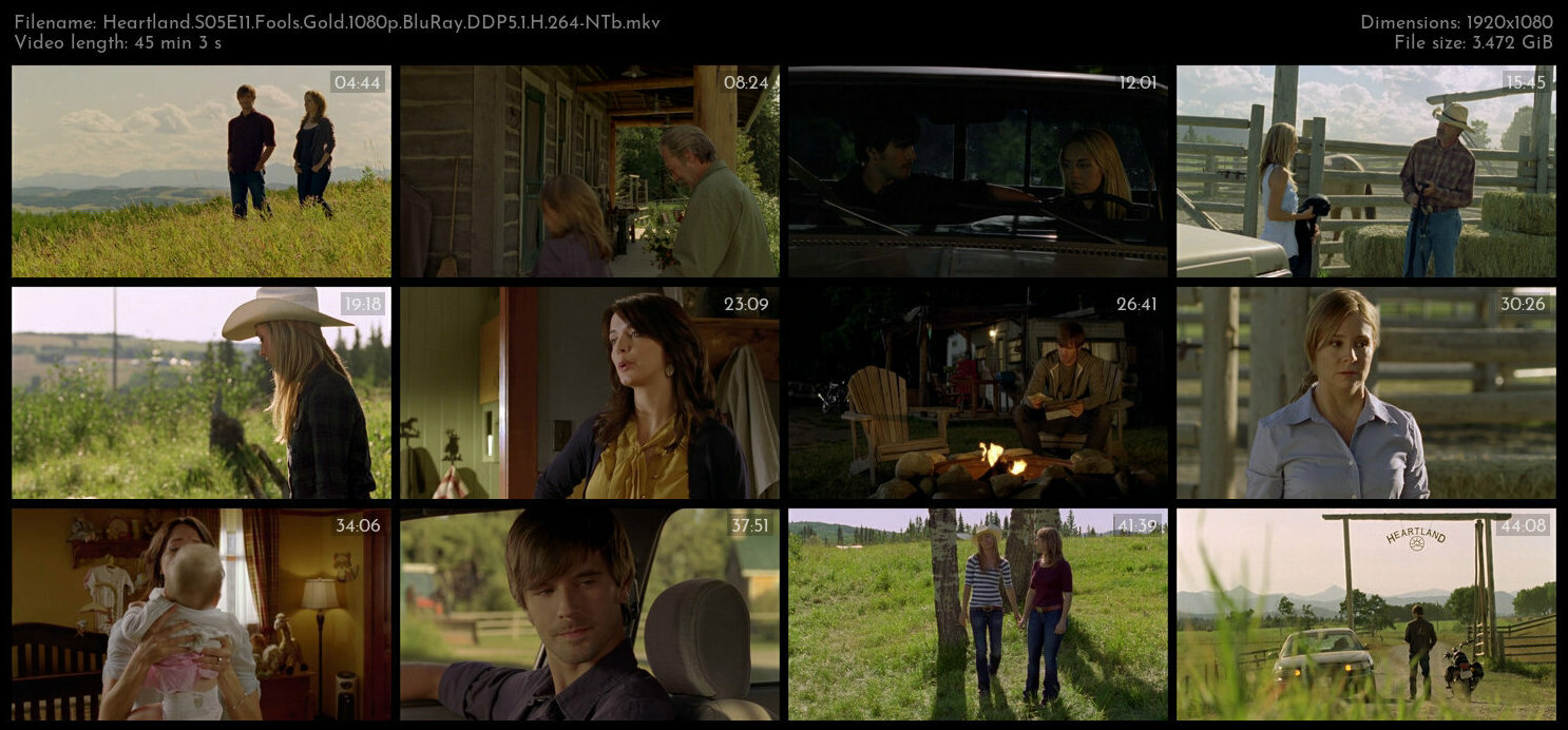Heartland S05E11 Fools Gold 1080p BluRay DDP5 1 H 264 NTb TGx