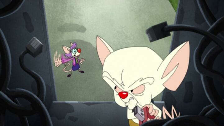 Animaniacs S07E31 WEB x264 TORRENTGALAXY