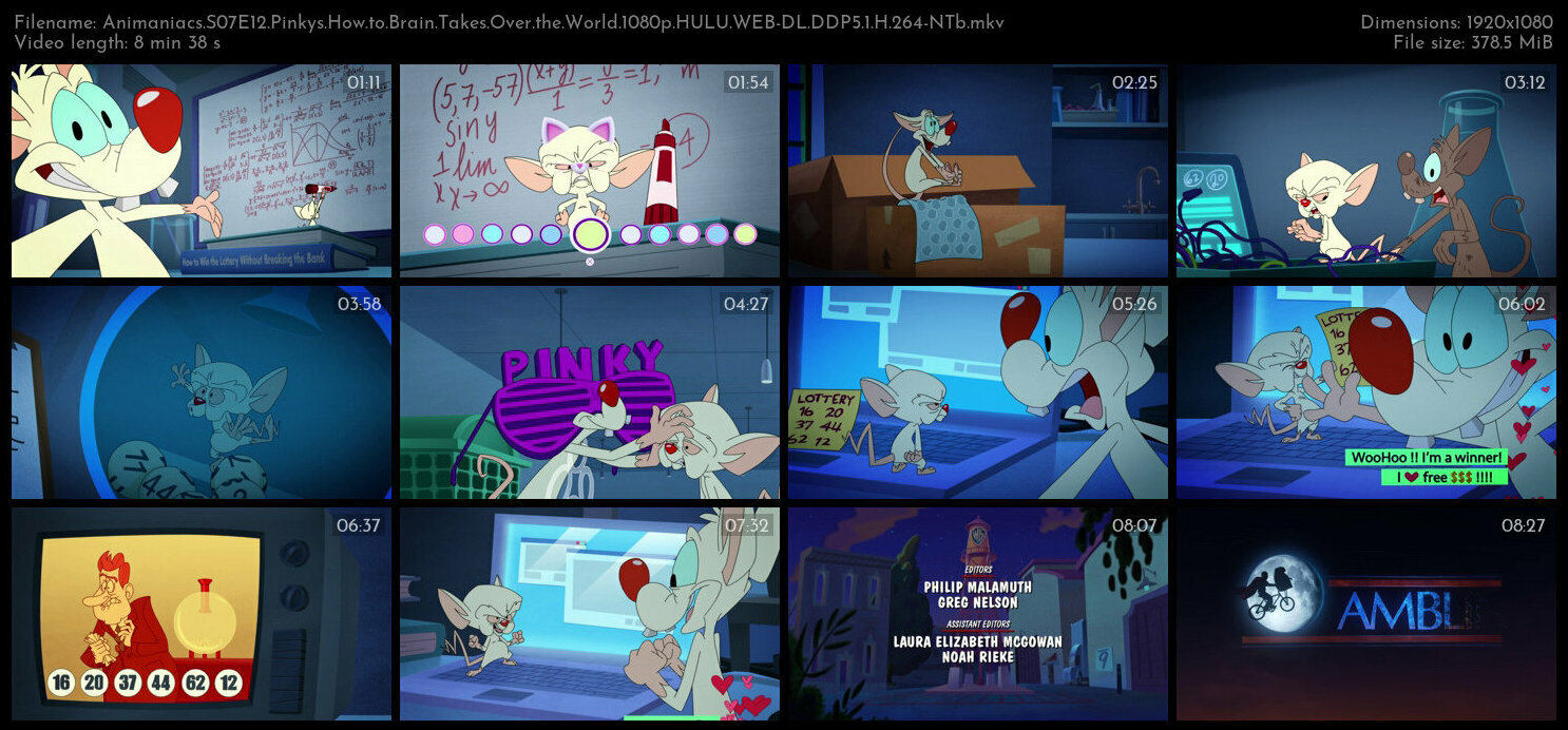 Animaniacs S07E12 Pinkys How to Brain Takes Over the World 1080p HULU WEB DL DDP5 1 H 264 NTb TGx