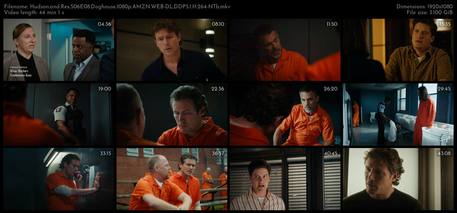 Hudson and Rex S06E08 Doghouse 1080p AMZN WEB DL DDP5 1 H 264 NTb TGx