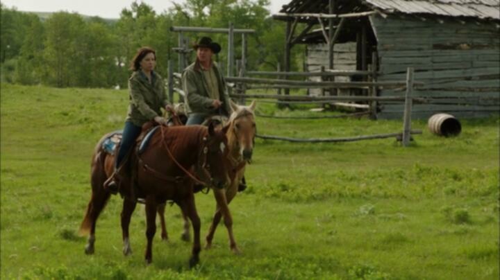 Heartland S06E04 BluRay x264 TORRENTGALAXY