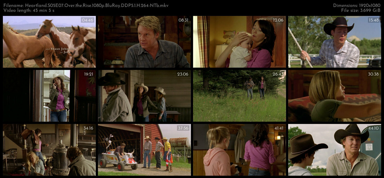 Heartland S05E07 Over the Rise 1080p BluRay DDP5 1 H 264 NTb TGx