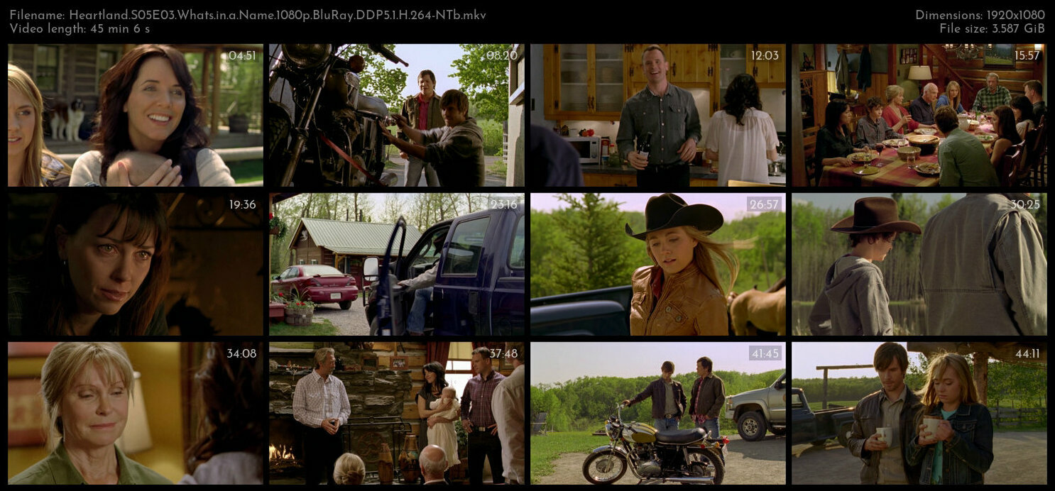 Heartland S05E03 Whats in a Name 1080p BluRay DDP5 1 H 264 NTb TGx