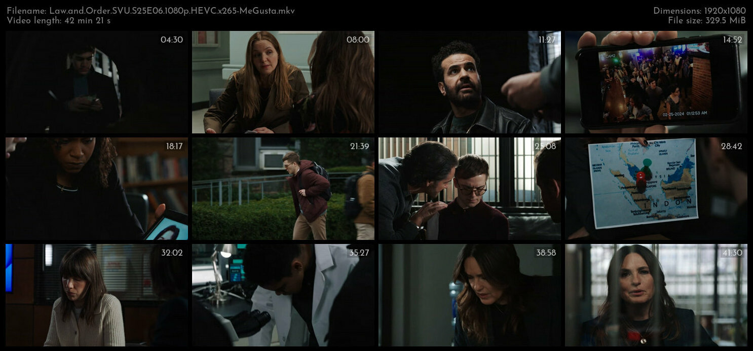 Law and Order SVU S25E06 1080p HEVC x265 MeGusta TGx