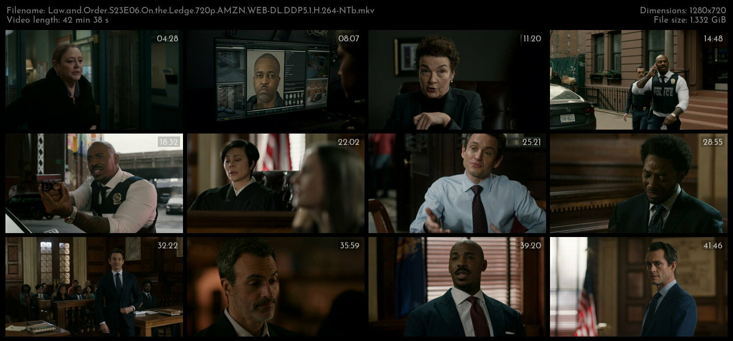 Law and Order S23E06 On the Ledge 720p AMZN WEB DL DDP5 1 H 264 NTb TGx