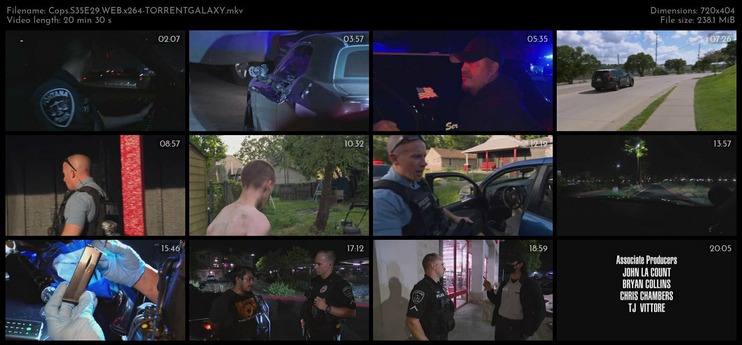 Cops S35E29 WEB x264 TORRENTGALAXY