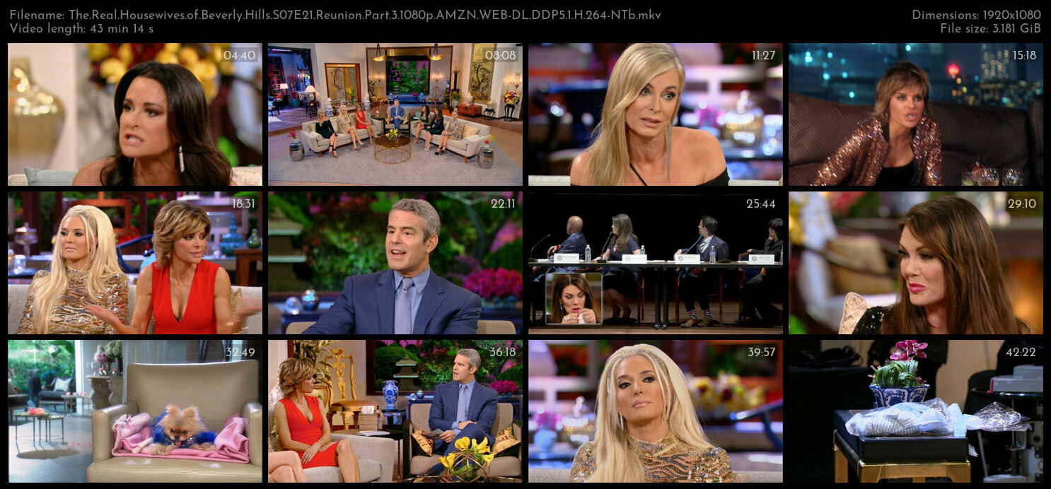 The Real Housewives of Beverly Hills S07E21 Reunion Part 3 1080p AMZN WEB DL DDP5 1 H 264 NTb TGx