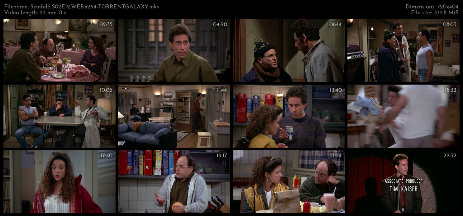 Seinfeld S02E12 WEB x264 TORRENTGALAXY