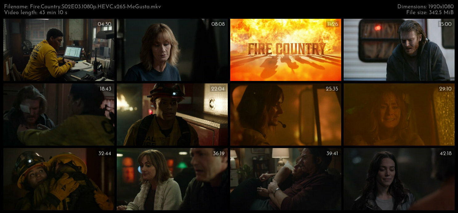 Fire Country S02E03 1080p HEVC x265 MeGusta TGx