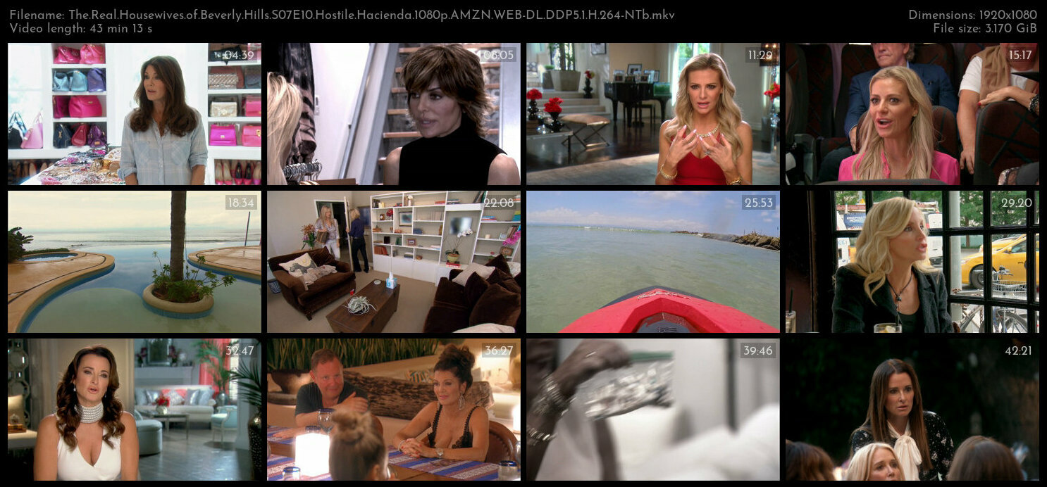 The Real Housewives of Beverly Hills S07E10 Hostile Hacienda 1080p AMZN WEB DL DDP5 1 H 264 NTb TGx