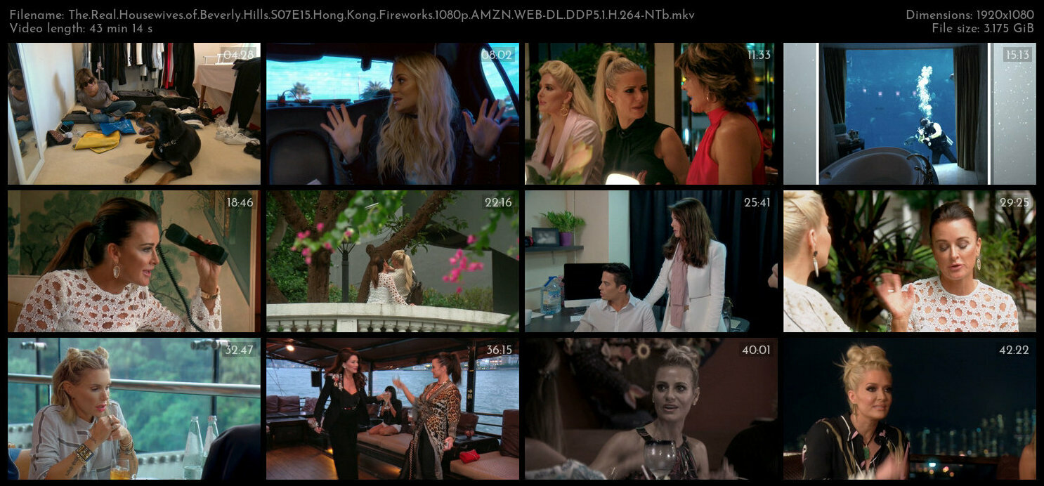 The Real Housewives of Beverly Hills S07E15 Hong Kong Fireworks 1080p AMZN WEB DL DDP5 1 H 264 NTb T
