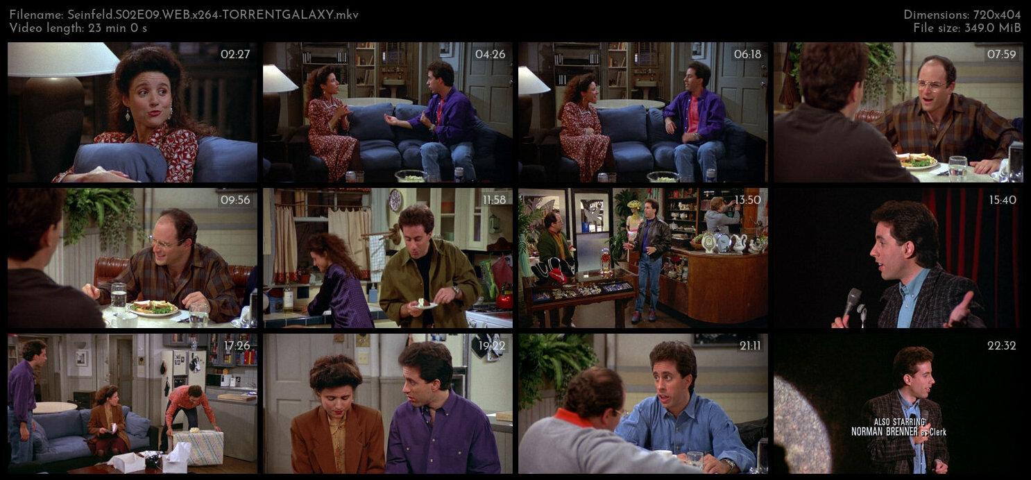 Seinfeld S02E09 WEB x264 TORRENTGALAXY