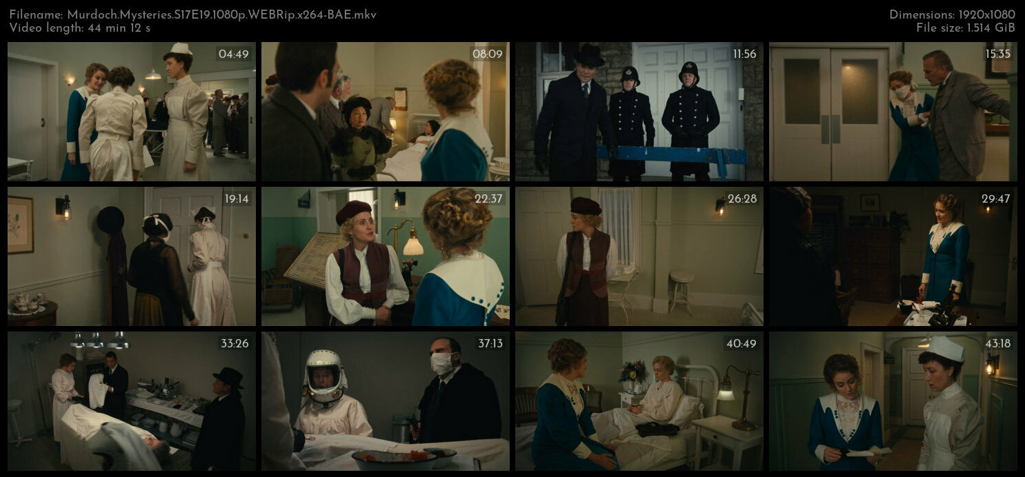 Murdoch Mysteries S17E19 1080p WEBRip x264 BAE TGx