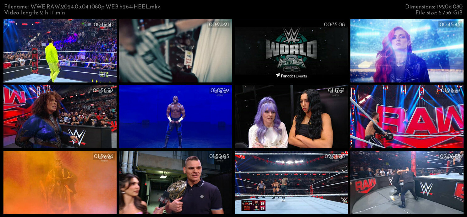 WWE RAW 2024 03 04 1080p WEB h264 HEEL TGx