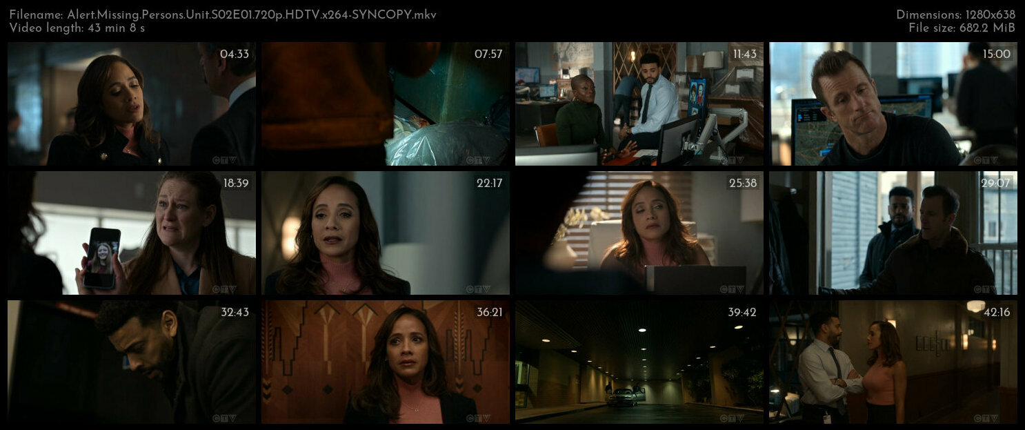 Alert Missing Persons Unit S02E01 720p HDTV x264 SYNCOPY TGx