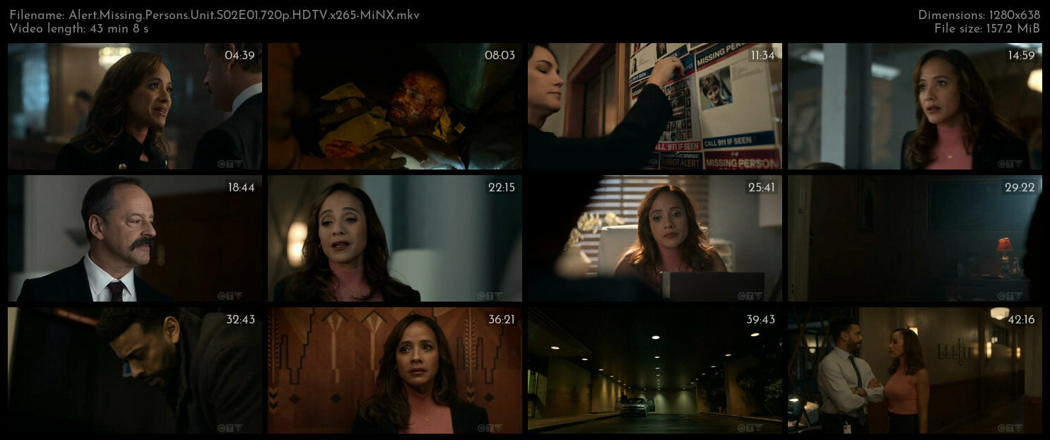 Alert Missing Persons Unit S02E01 720p HDTV x265 MiNX TGx