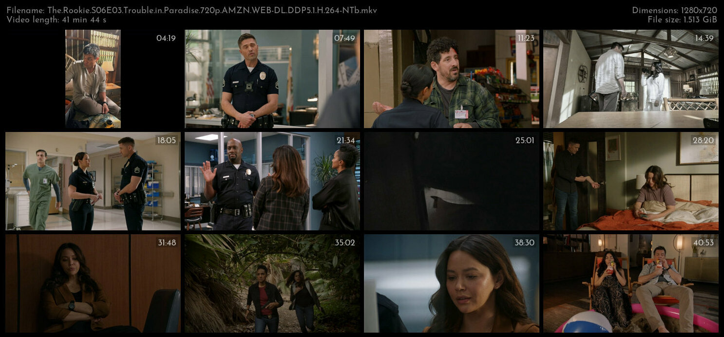 The Rookie S06E03 Trouble in Paradise 720p AMZN WEB DL DDP5 1 H 264 NTb TGx