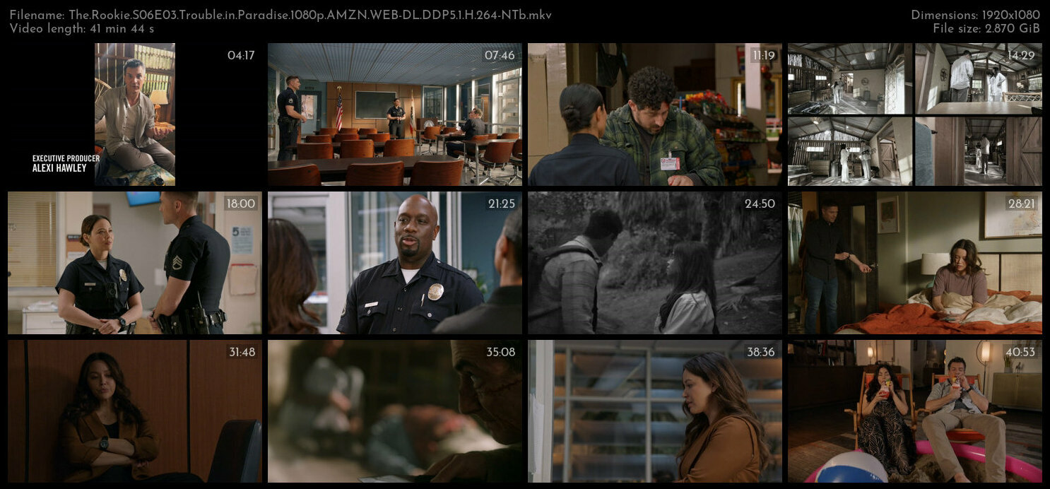 The Rookie S06E03 Trouble in Paradise 1080p AMZN WEB DL DDP5 1 H 264 NTb TGx