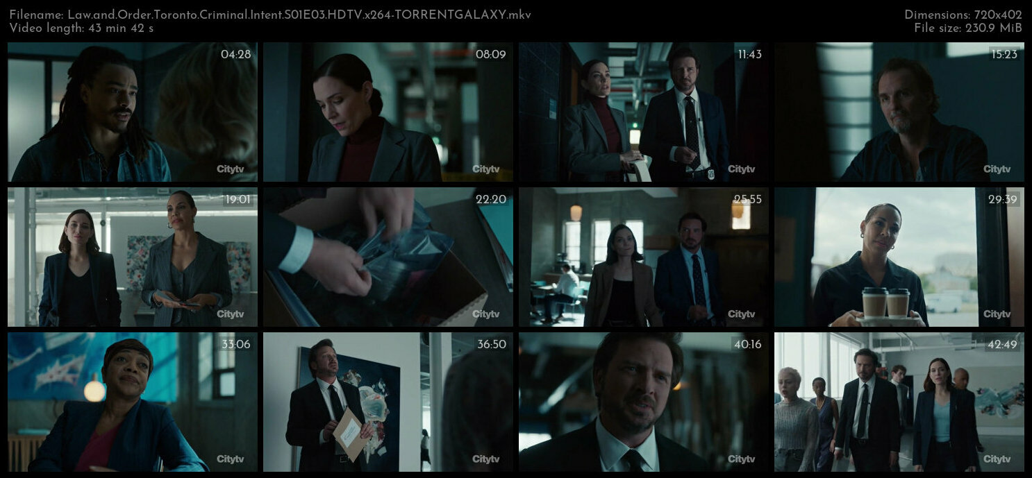 Law and Order Toronto Criminal Intent S01E03 HDTV x264 TORRENTGALAXY