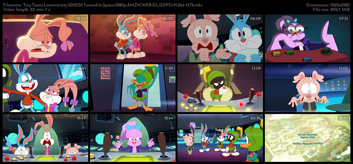 Tiny Toons Looniversity S02E03 Tooned In Space 1080p AMZN WEB DL DDP5 1 H 264 NTb TGx