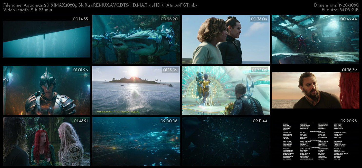 Aquaman 2018 IMAX 1080p BluRay REMUX AVC DTS HD MA TrueHD 7 1 Atmos FGT TGx