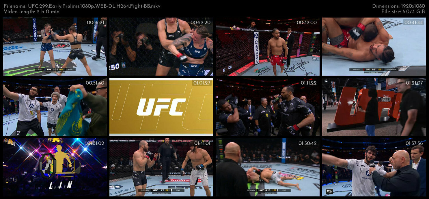 UFC 299 Early Prelims 1080p WEB DL H264 Fight BB