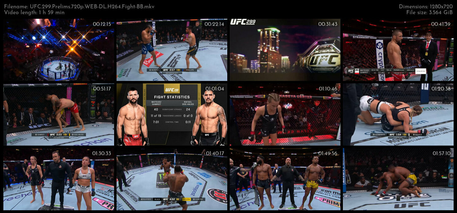 UFC 299 Prelims 720p WEB DL H264 Fight BB
