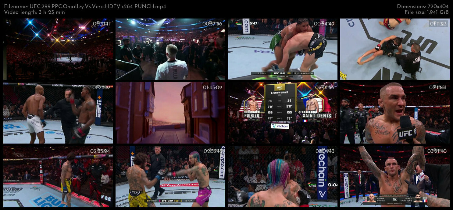 UFC 299 PPC Omalley Vs Vera HDTV x264 PUNCH TGx