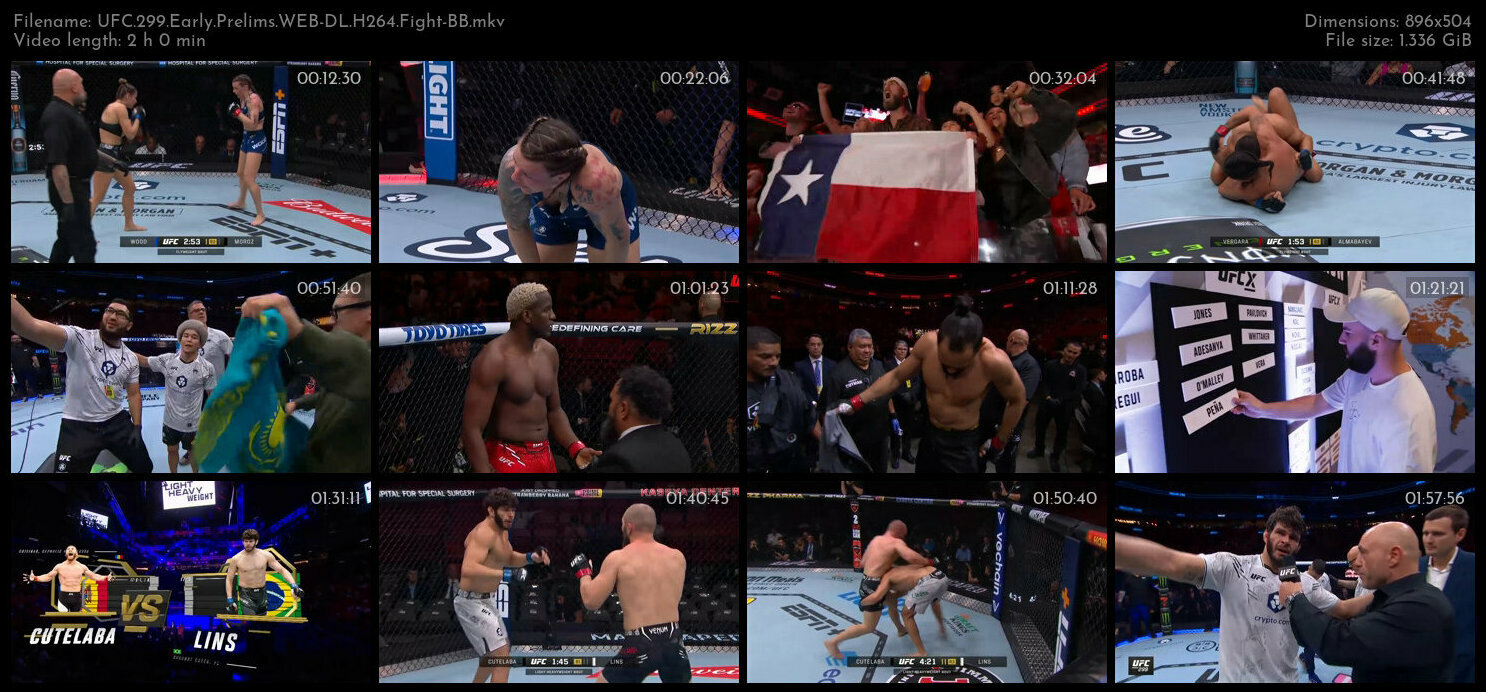 UFC 299 Early Prelims WEB DL H264 Fight BB