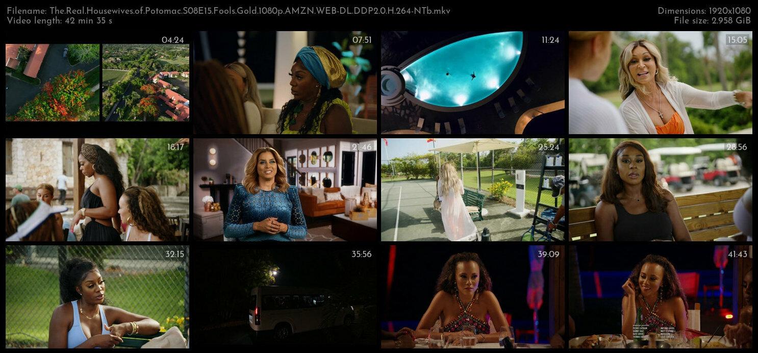 The Real Housewives of Potomac S08E15 Fools Gold 1080p AMZN WEB DL DDP2 0 H 264 NTb TGx