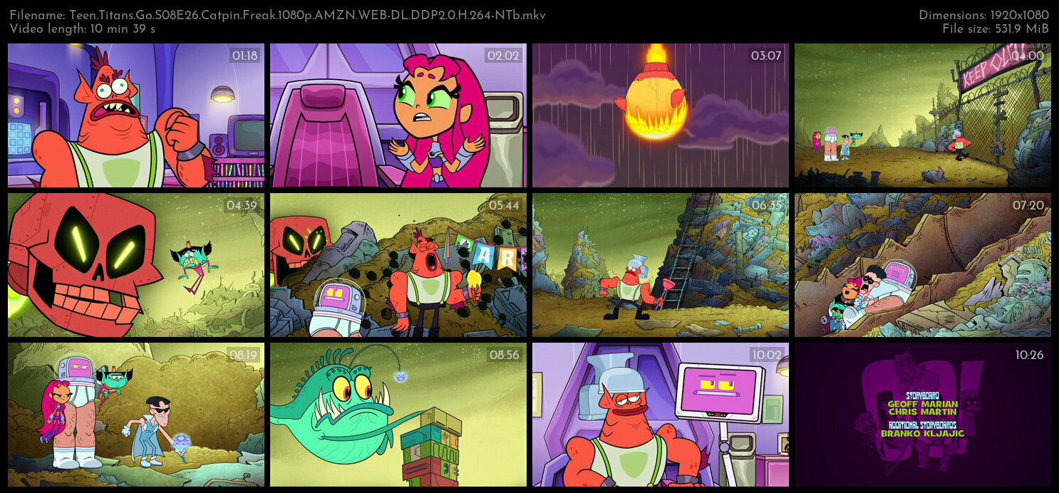 Teen Titans Go S08E26 Catpin Freak 1080p AMZN WEB DL DDP2 0 H 264 NTb TGx