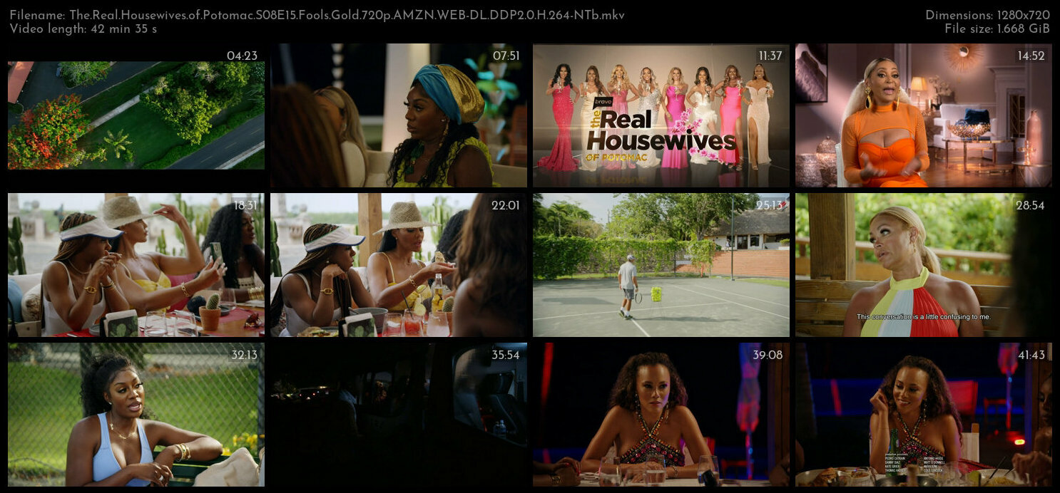 The Real Housewives of Potomac S08E15 Fools Gold 720p AMZN WEB DL DDP2 0 H 264 NTb TGx