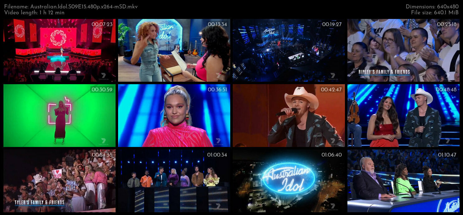 Australian Idol S09E15 480p x264 mSD TGx