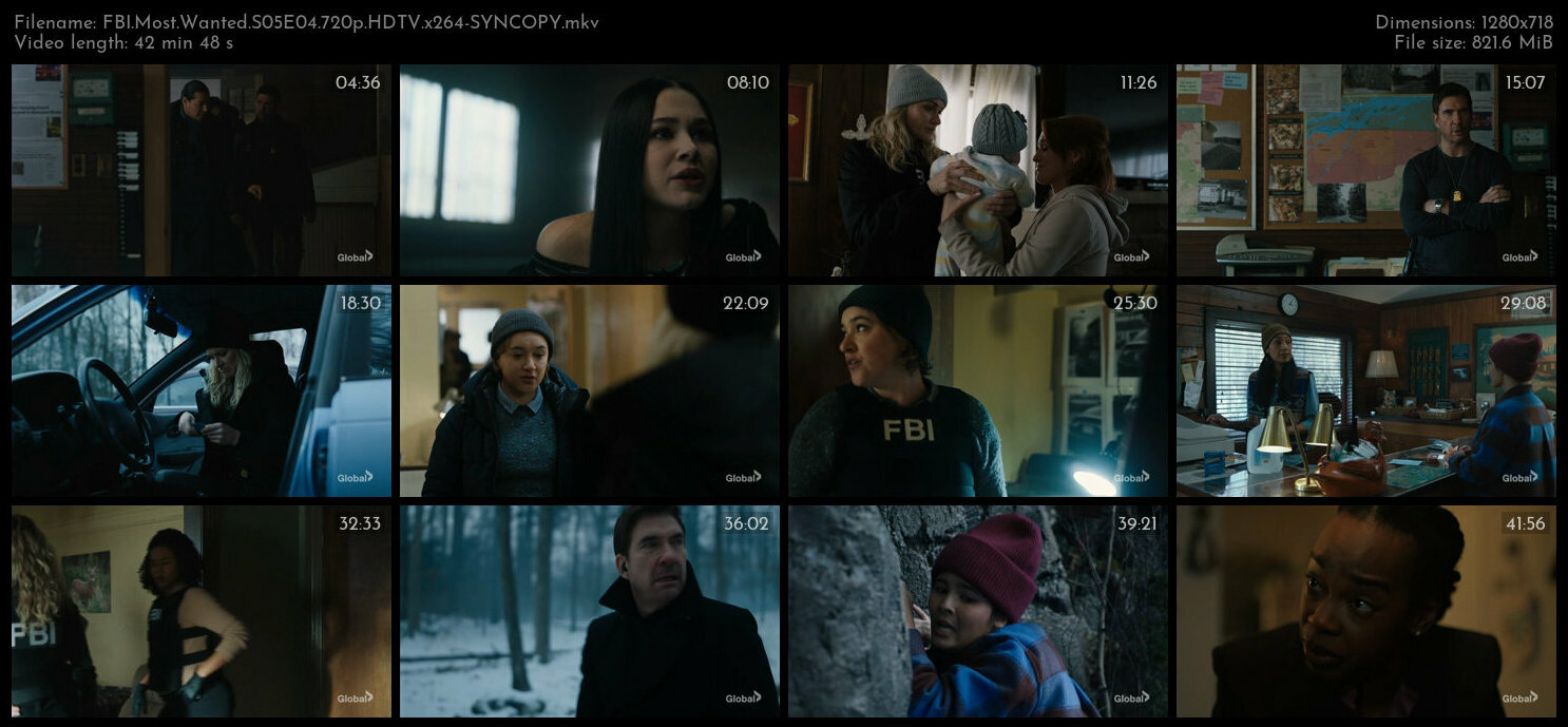 FBI Most Wanted S05E04 720p HDTV x264 SYNCOPY TGx