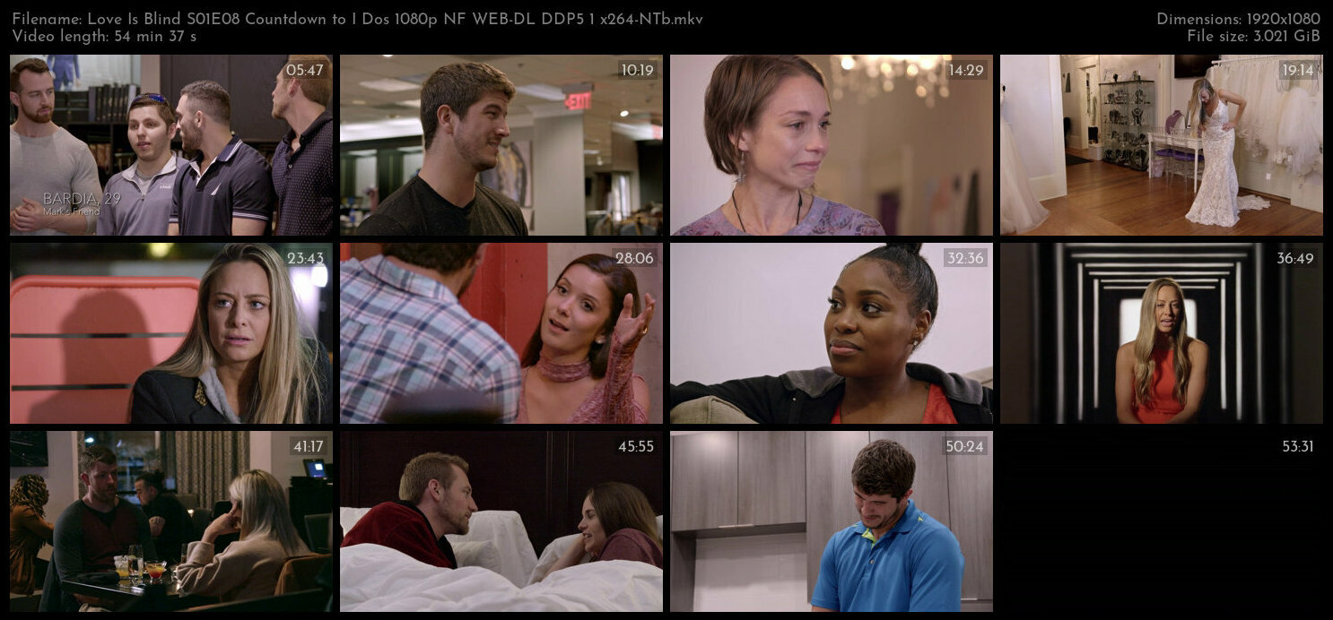 Love Is Blind S01E08 Countdown to I Dos 1080p NF WEB DL DDP5 1 x264 NTb TGx