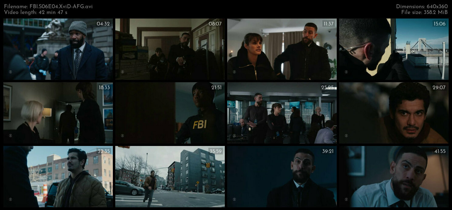 FBI S06E04 XviD AFG TGx