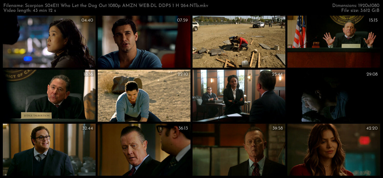 Scorpion S04E11 Who Let the Dog Out 1080p AMZN WEB DL DDP5 1 H 264 NTb TGx