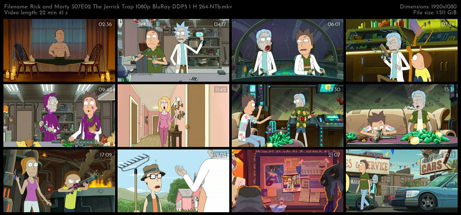 Rick and Morty S07E02 The Jerrick Trap 1080p BluRay DDP5 1 H 264 NTb TGx