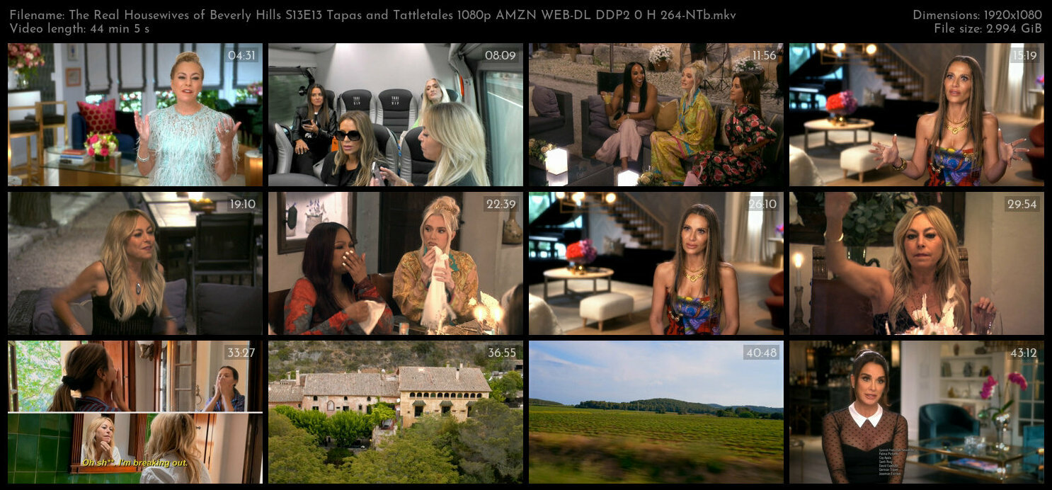The Real Housewives of Beverly Hills S13E13 Tapas and Tattletales 1080p AMZN WEB DL DDP2 0 H 264 NTb