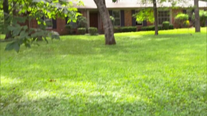 Property Brothers S13E11 WEB x264 TORRENTGALAXY