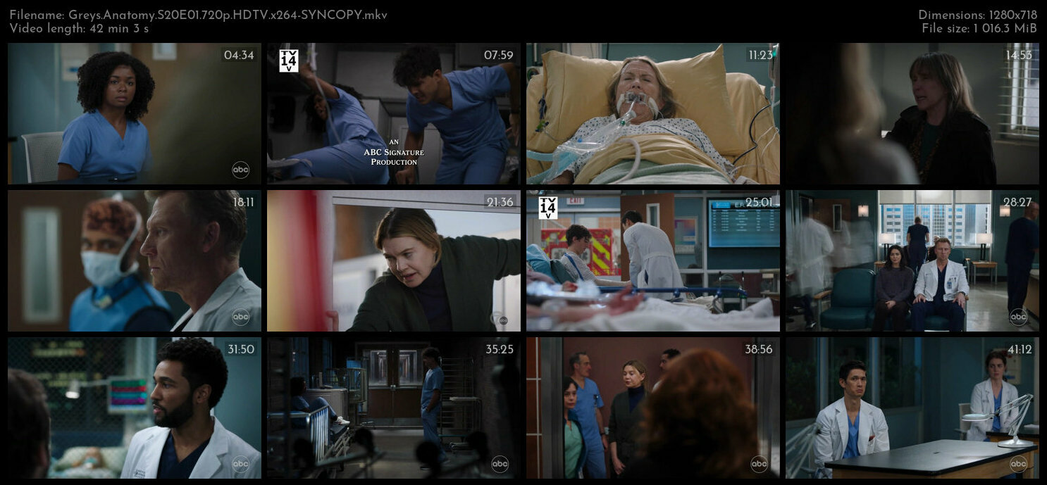 Greys Anatomy S20E01 720p HDTV x264 SYNCOPY TGx